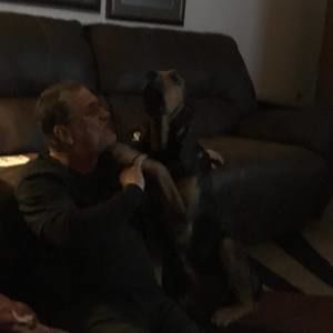 Meet your Posher, Walt